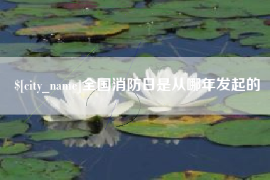 鹤岗全国消防日是从哪年发起的