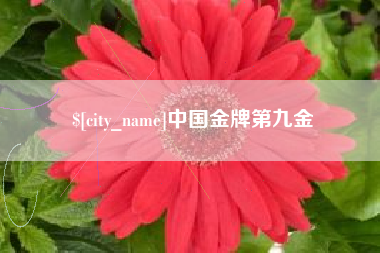 鹤岗中国金牌第九金
