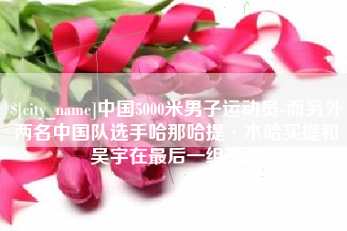 鹤岗中国5000米男子运动员-而另外两名中国队选手哈那哈提·木哈买提和吴宇在最后一组出场