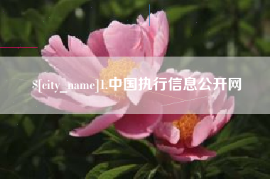 鹤岗1.中国执行信息公开网