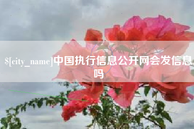 鹤岗中国执行信息公开网会发信息吗