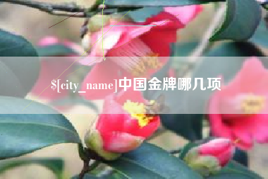 鹤岗中国金牌哪几项