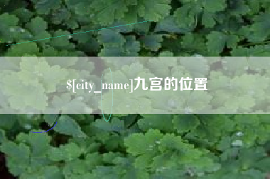 鹤岗九宫的位置