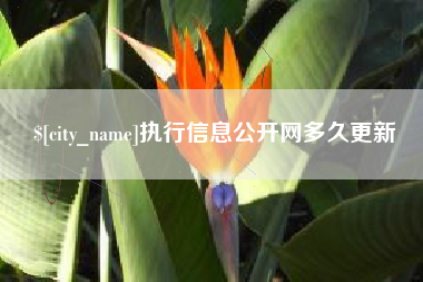 鹤岗执行信息公开网多久更新