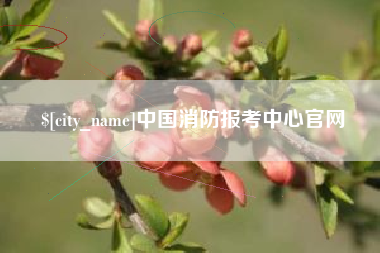 鹤岗中国消防报考中心官网