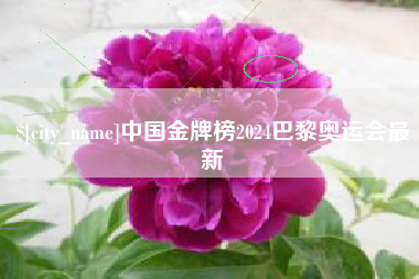 鹤岗中国金牌榜2024巴黎奥运会最新