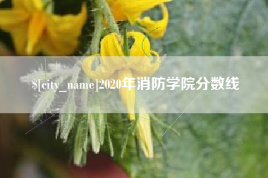 鹤岗2020年消防学院分数线
