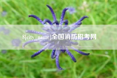 鹤岗全国消防招考网