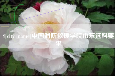 鹤岗中国消防救援学院山东选科要求