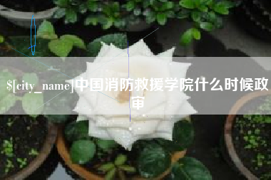 鹤岗中国消防救援学院什么时候政审