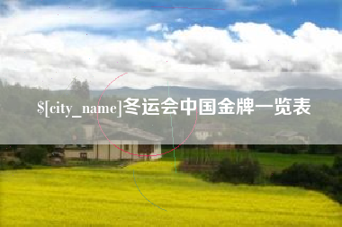 鹤岗冬运会中国金牌一览表