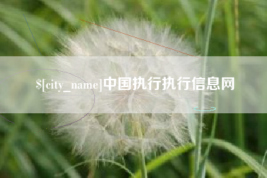 鹤岗中国执行执行信息网