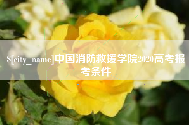 鹤岗中国消防救援学院2020高考报考条件