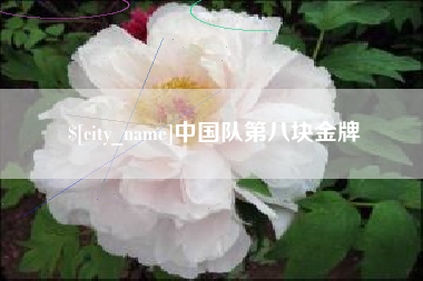 鹤岗中国队第八块金牌