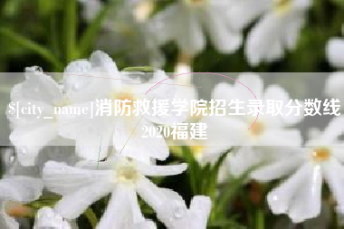 鹤岗消防救援学院招生录取分数线2020福建
