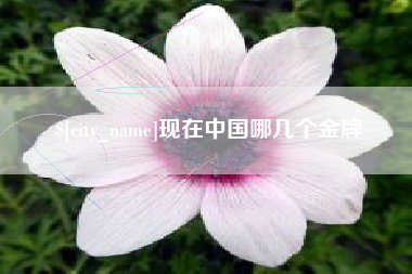 鹤岗现在中国哪几个金牌