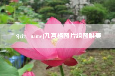 鹤岗九宫格图片组图唯美