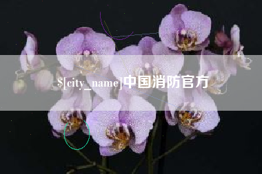 鹤岗中国消防官方