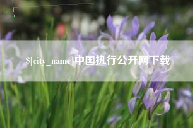 鹤岗中国执行公开网下载