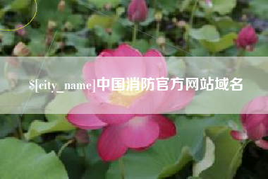 鹤岗中国消防官方网站域名