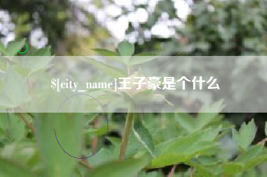 鹤岗王子豪是个什么