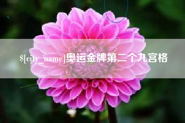 鹤岗奥运金牌第二个九宫格