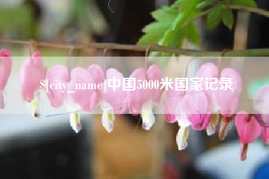 鹤岗中国5000米国家记录