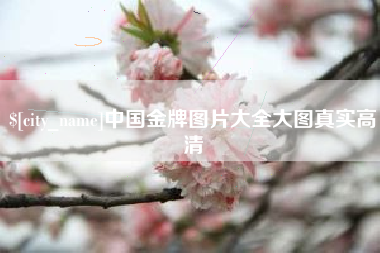 鹤岗中国金牌图片大全大图真实高清