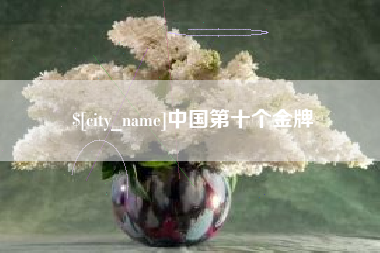 鹤岗中国第十个金牌