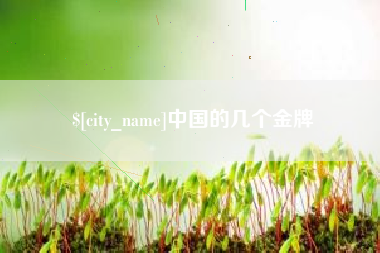 鹤岗中国的几个金牌