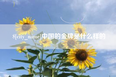 鹤岗中国的金牌是什么样的