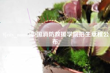 鹤岗中国消防救援学院招生章程公布!