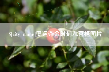 鹤岗奥运夺金时刻九宫格图片