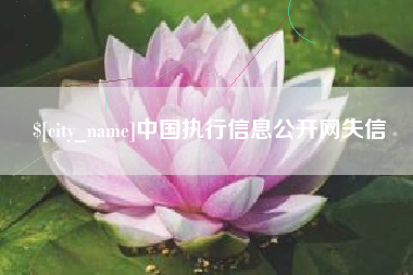 鹤岗中国执行信息公开网失信