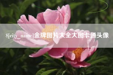 鹤岗金牌图片大全大图卡通头像
