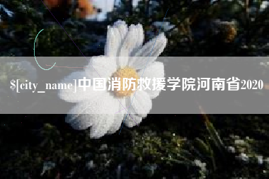 鹤岗中国消防救援学院河南省2020
